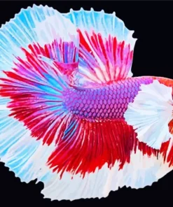 Lavender Betta Fish Diamond Painting