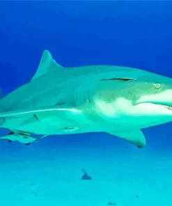 Lemon Shark Diamond Painting