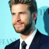Liam Hemsworth Diamond Painting