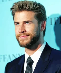 Liam Hemsworth Diamond Painting