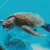 Loggerhead Sea Turtle Diamond Painting