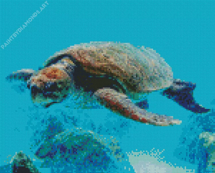 loggerhead sea turtle Diamond By Numbers Loggerhead Sea Turtle Diamond Painting