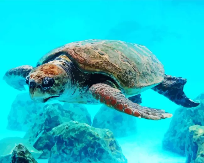 loggerhead sea turtle Diamond Paints