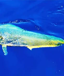 Mahi Mahi Fish Diamond Painting