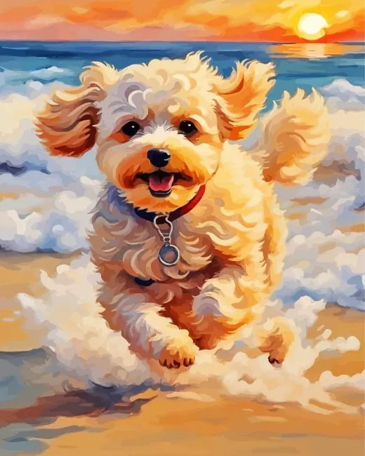 maltipoo art Diamond Paints Maltipoo Art Diamond Painting