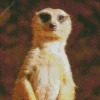 Meerkat Animal Diamond Painting