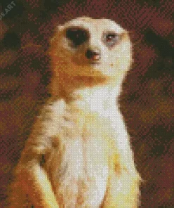 Meerkat Animal Diamond Painting
