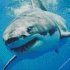 Megalodon Shark Diamond Painting