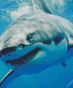 Megalodon Shark Diamond Painting