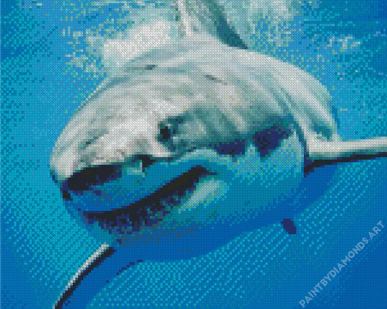 megalodon shark Diamond By Numbers Megalodon Shark Diamond Painting
