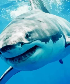 Megalodon Shark Diamond Painting