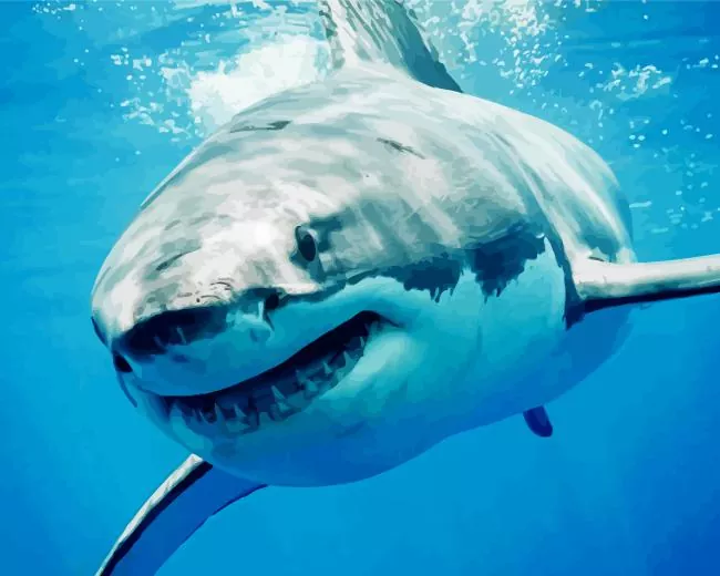 megalodon shark Diamond Paintings Megalodon Shark Diamond Painting