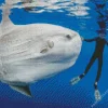 Mola Fish Diamond Painting