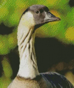Nene Bird Diamond Painting