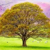Oak Tree Diamond Painting