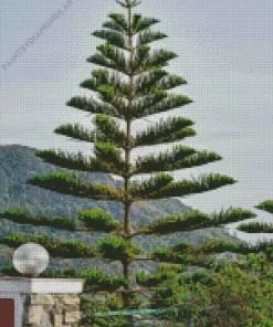 Pine Tree Diamond Painting