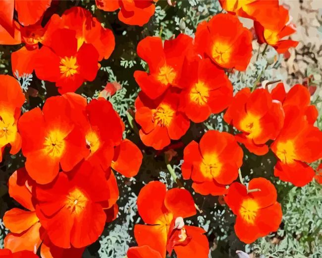 red california poppies Diamond Paints Red California Poppies Diamond Painting