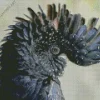 Red Tailed Black Cockatoo Diamond Painting