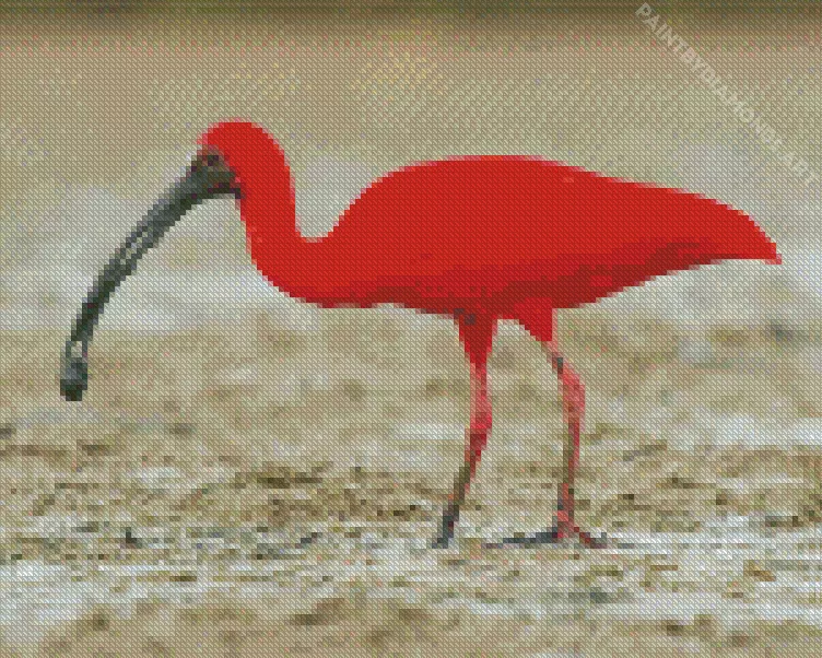 scarlet ibis bird Diamond By Numbers Scarlet Ibis Bird Diamond Painting