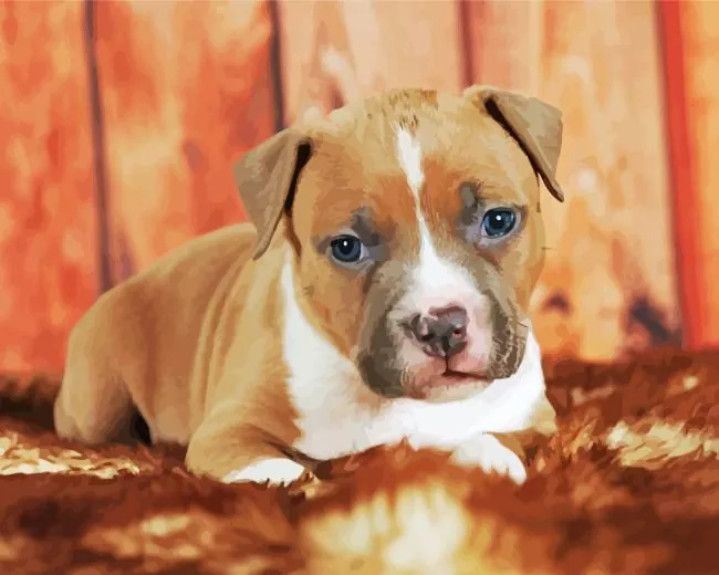 staffordshire bull terrier puppy Diamond With Numbers Staffordshire Bull Terrier Puppy Diamond Painting