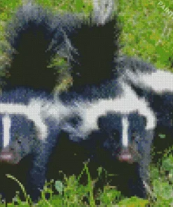 Striped Skunks Diamond Painting