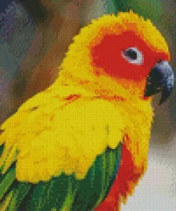 Sun Conure Bird Diamond Painting