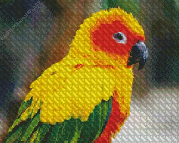 sun conure bird Diamond By Numbers Sun Conure Bird Diamond Painting