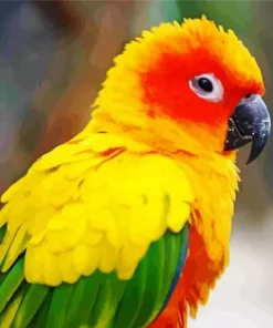 Sun Conure Bird Diamond Painting