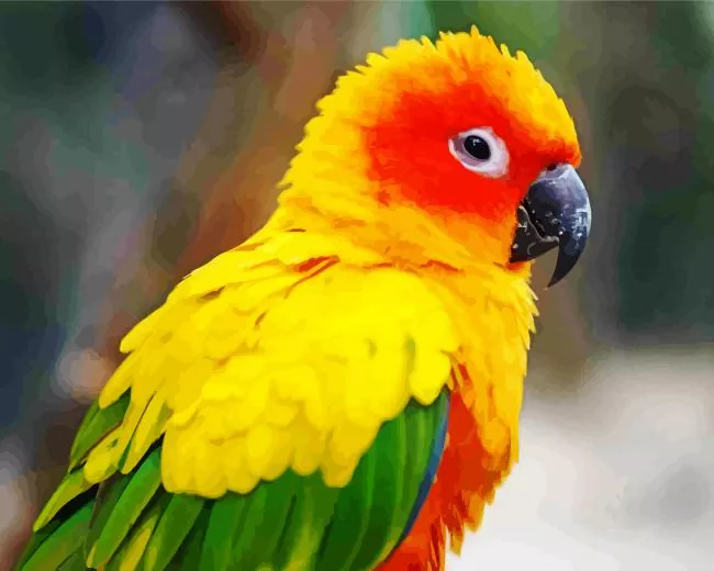 sun conure bird Diamond Paintings