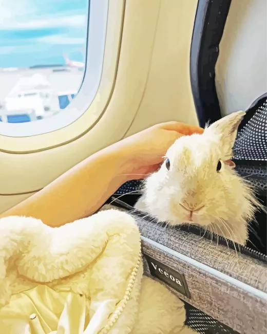travel with rabbit Diamond Paints Travel With Rabbit Diamond Painting
