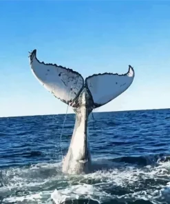 Whale Tail Diamond Painting