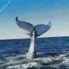 Whale Tail Diamond Painting