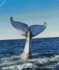 Whale Tail Diamond Painting