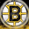 Boston Bruins Symbol Diamond Painting