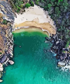 Butterfly Beach Goa Diamond Painting