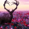 Heart Shape Buck Antlers Diamond Painting