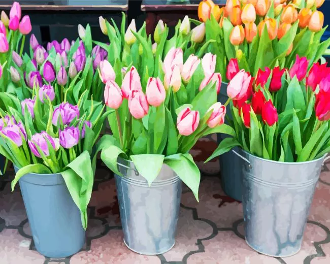 Tulip Buckets Diamond By Numbers Tulip Buckets Diamond Painting