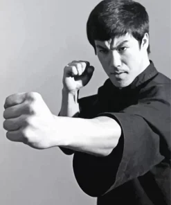 Black And White Bruce Lee Diamond Painting