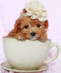 Brown Poodle In Teacup Symbol Diamond Painting
