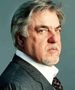 Bruce McGill Actor Diamond Painting