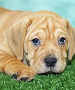 Bull Puggle Diamond Painting