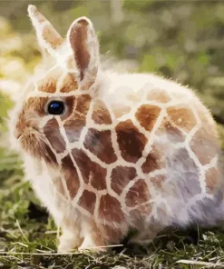 Bunny Giraffe Diamond Painting