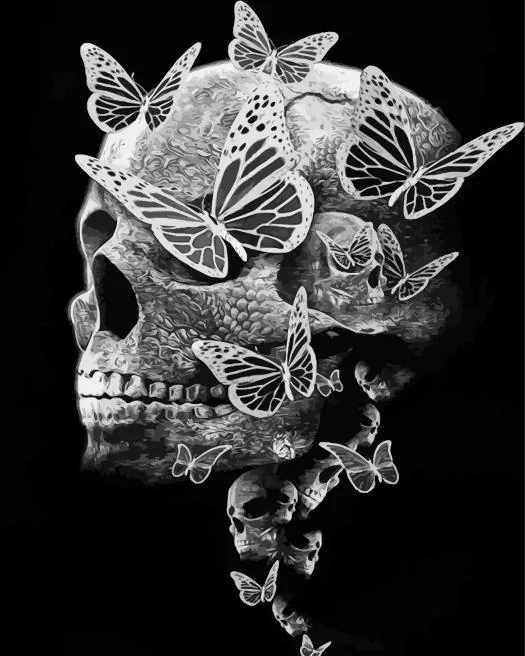 butterflies and skull Diamond Paintings Butterflies And Skull Diamond Painting