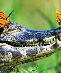 Butterflies on Alligator Diamond Painting