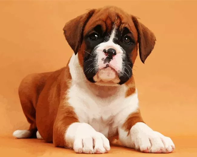 cute brown boxer dog Diamond Paintings Cute Brown Boxer Dog Diamond Painting