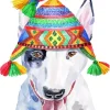 Cute Bull Terrier In Peruvian Hat Diamond Painting
