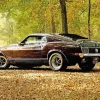 Dark Brown Ford Mustang 66 Diamond Painting