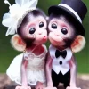 Funny Monkeys Couple Diamond Painting