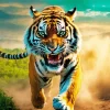 Furious Tiger Art Diamond Painting