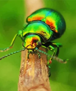 Green June Beetle Diamond Painting